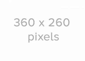360 x 260 pixel holding image